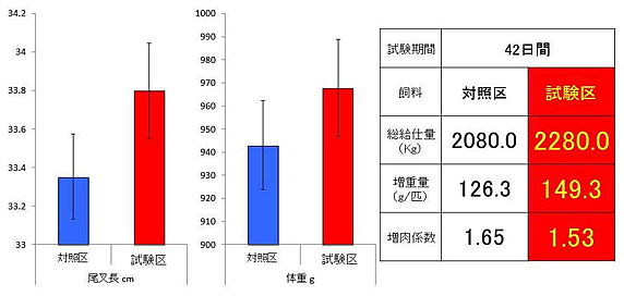 図４