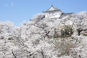 津山城（鶴山公園）