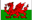 Welsh flag