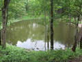 Kaali Meteorite Crater