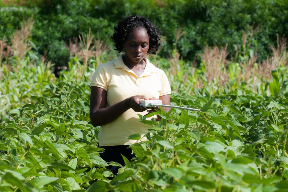 The Alliance at CGIAR Science Week 