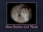 How Babies Get Made