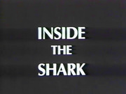 Inside the Shark