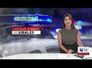 Noticias 14 : KDTV : July 17, 2024 6:00pm-6:31pm PDT