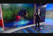 Noticiero Univisión : WUVP : October 17, 2014 6:30pm-7:01pm EDT