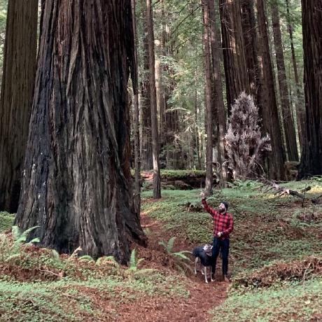 Jesse David Peterson