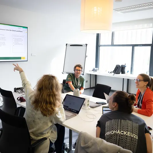 A group discussing the Bioschemas project