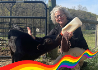 Beth Loy feeding a baby cow with a bottle on a farm.