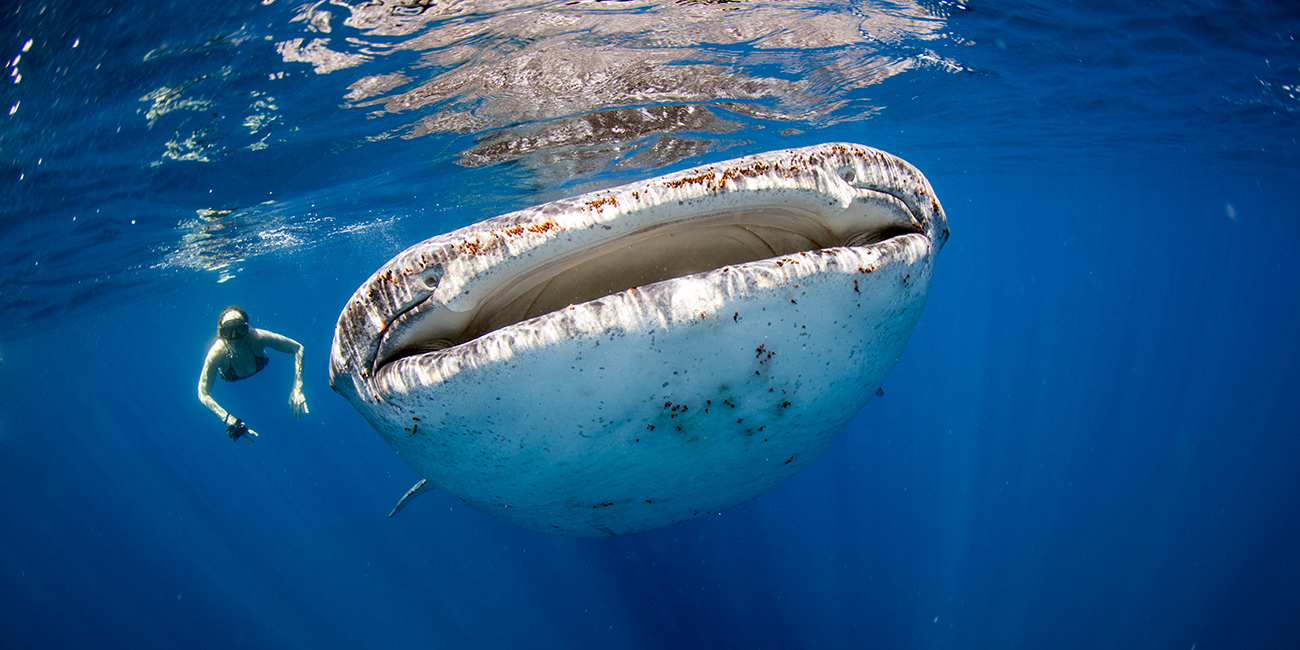 5 lugares increíbles para actividades en el mar