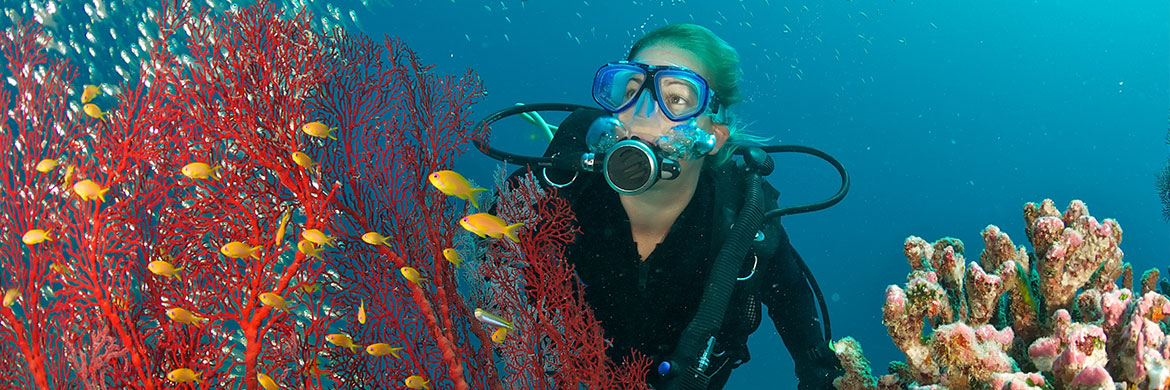 6 de los mejores lugares para bucear en el Océano Índico