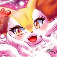 BraixenFennekin