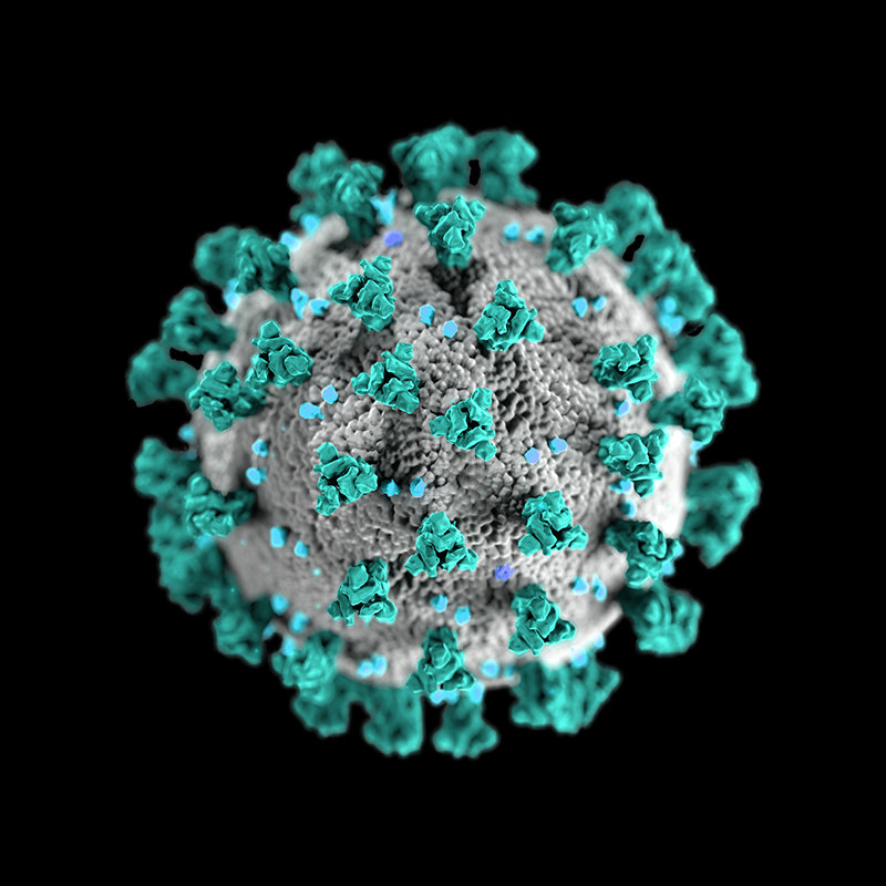 coronavirus