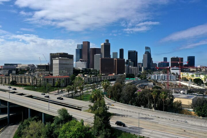 image Cities contain pockets of nature – study shows which species are most tolerant of urbanisation