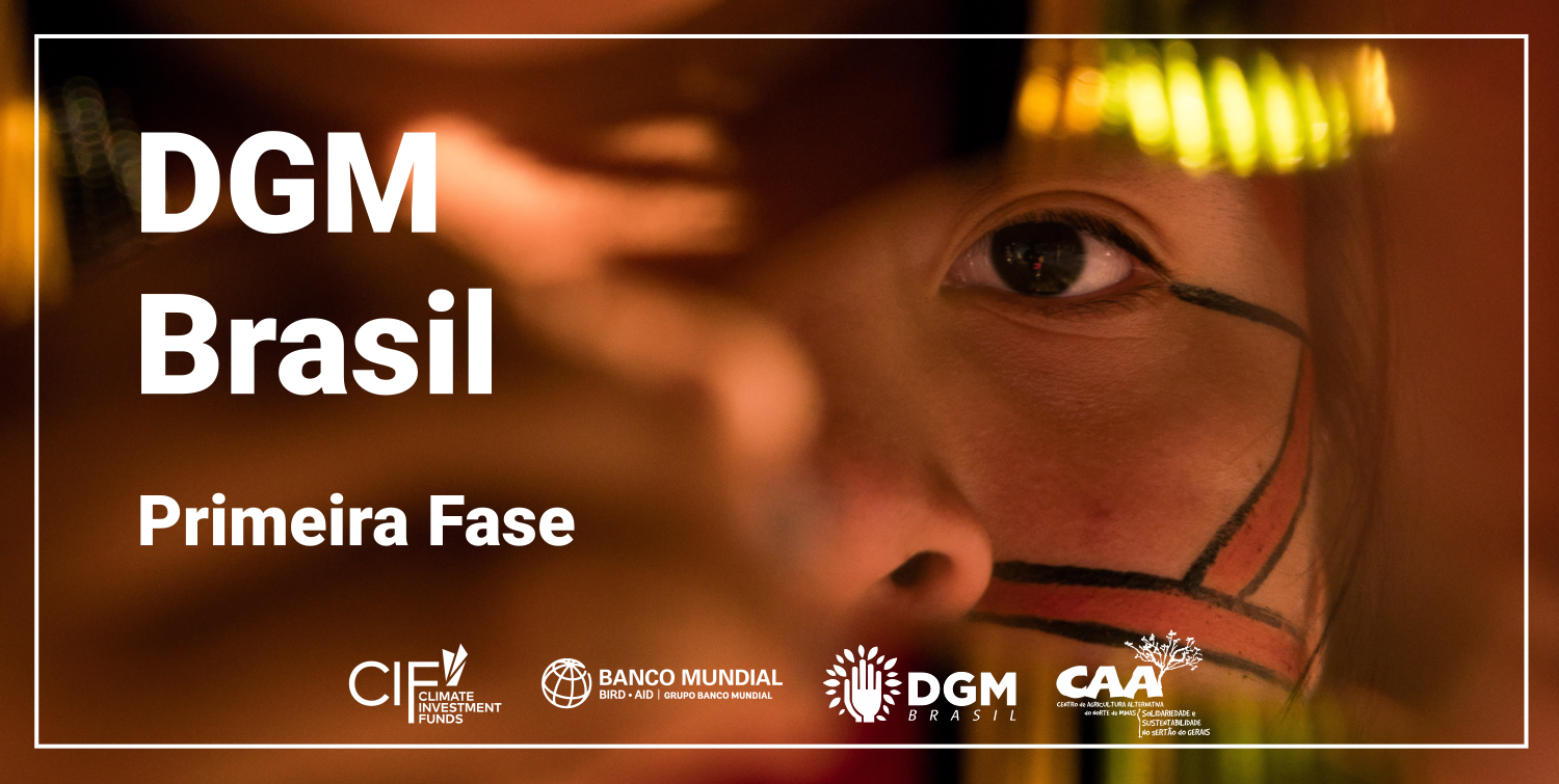 Primeira Fase - DGM Brasil