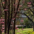 Two people seated in UC Davis arboretum in the spring.