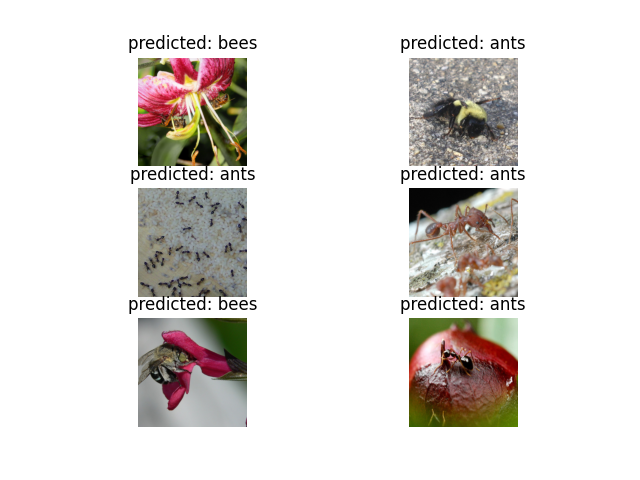 predicted: bees, predicted: ants, predicted: ants, predicted: ants, predicted: bees, predicted: ants