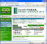 「Internet Explorer 7」Release Candidate 1 英語版