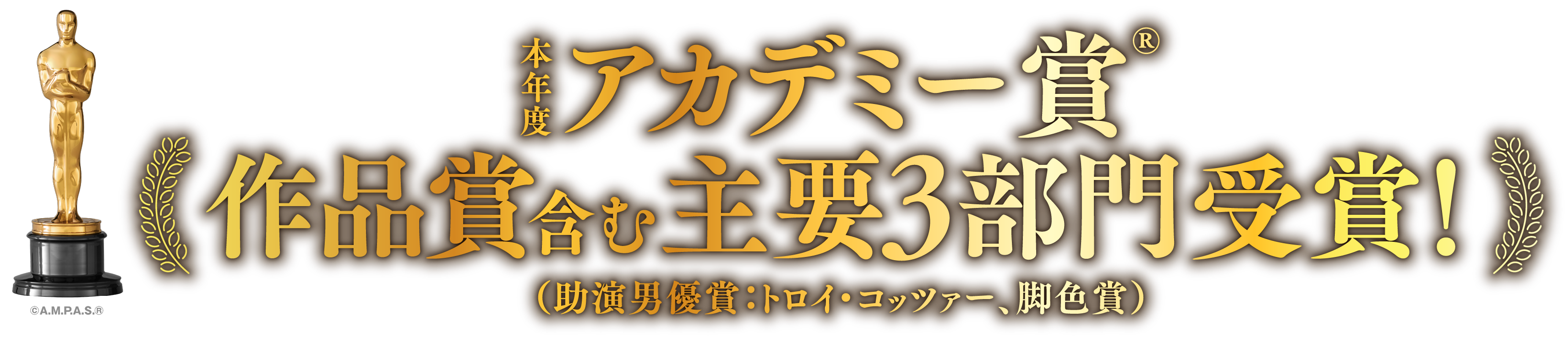 本年度アカデミー賞(R) 作品賞含む主要3部門受賞！（助演女優賞：トロイ・コッツァー、脚色賞）