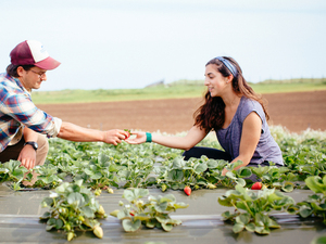 students in a strawberry patch