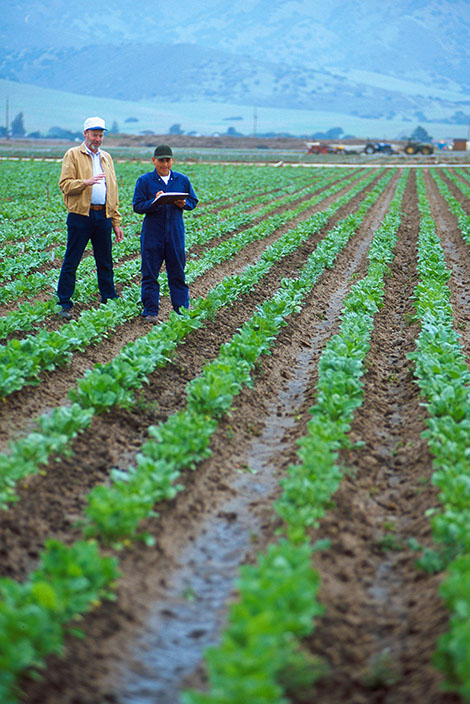 Scientists in a field