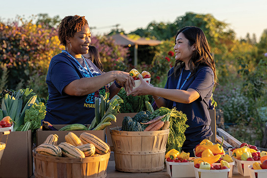 Farm to fork volunteers