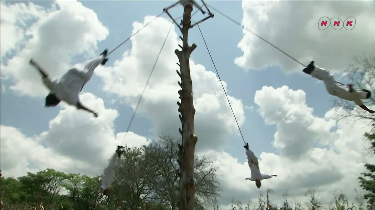 La cérémonie rituelle des Voladores