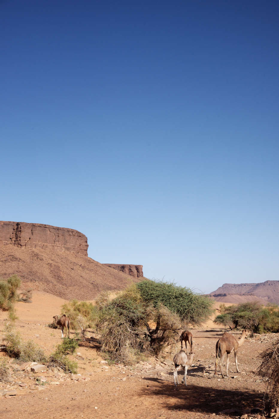 Mauritania