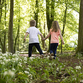 children-in-woodland-nrw-320-320.jpg