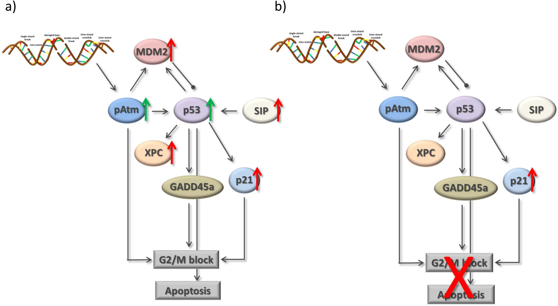 Fig 13