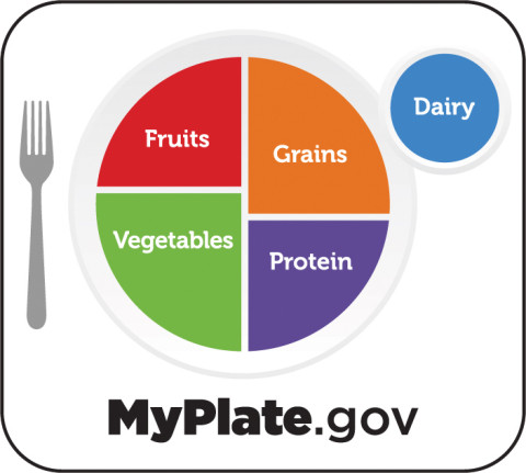 Recommended portions of fruits, grains, protein, vegetables, and dairy for each meal. 