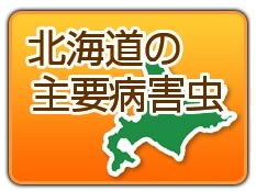 北海道の主要病害虫