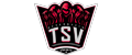 TSV 1895 Oftersheim eSports