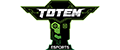 Totem esports