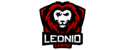 Leonid Gaming