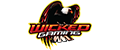 Wicked Gaming