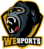 WeSports