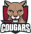 Top Cougars