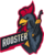 Rooster