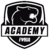 FURIA Academy