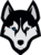 Husky eSports