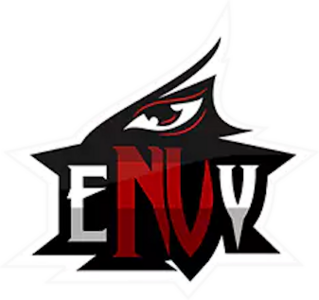 Logo while under "Team Envy" banner