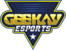 Geekay Esports