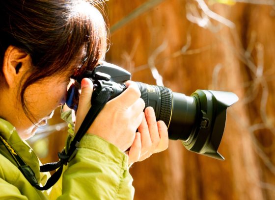 An up close image of a person holding a camera aiming to take a photograph.