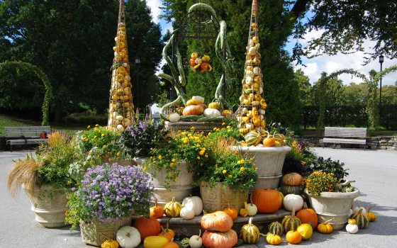 Colorful display of chrysanthemums and other fall flowers, pumpkins, and gourds in and around a wellhead and containers of various sizes.