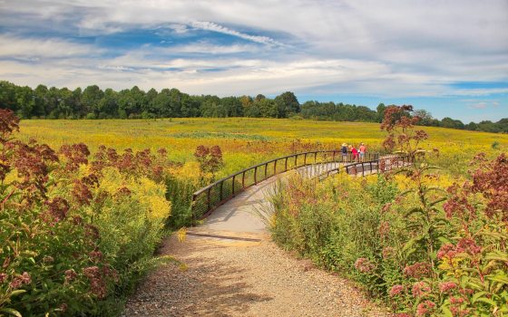 A view of the Meadow Garden path in late summer at Longwood Gardens.