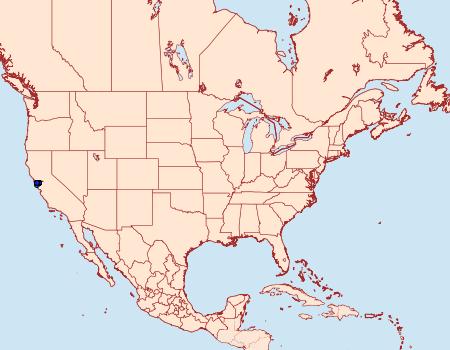 Distribution Data for Blastobasis maroccanella