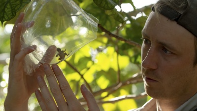 James Stroud examines an anole (Day’s Edge Productions)