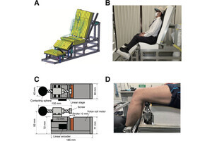 座ったままでも運動神経を活性化できるシート、金沢大などが開発