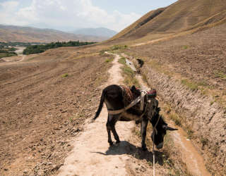 Et landsskap som viser "Unity Canal"  i Kalafgan-distriktet i Takhar-provinsen i Afghanistan. Foto: WFP/Arete/Andrew Quilty