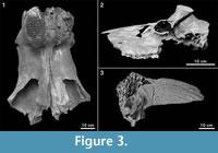 s figure3